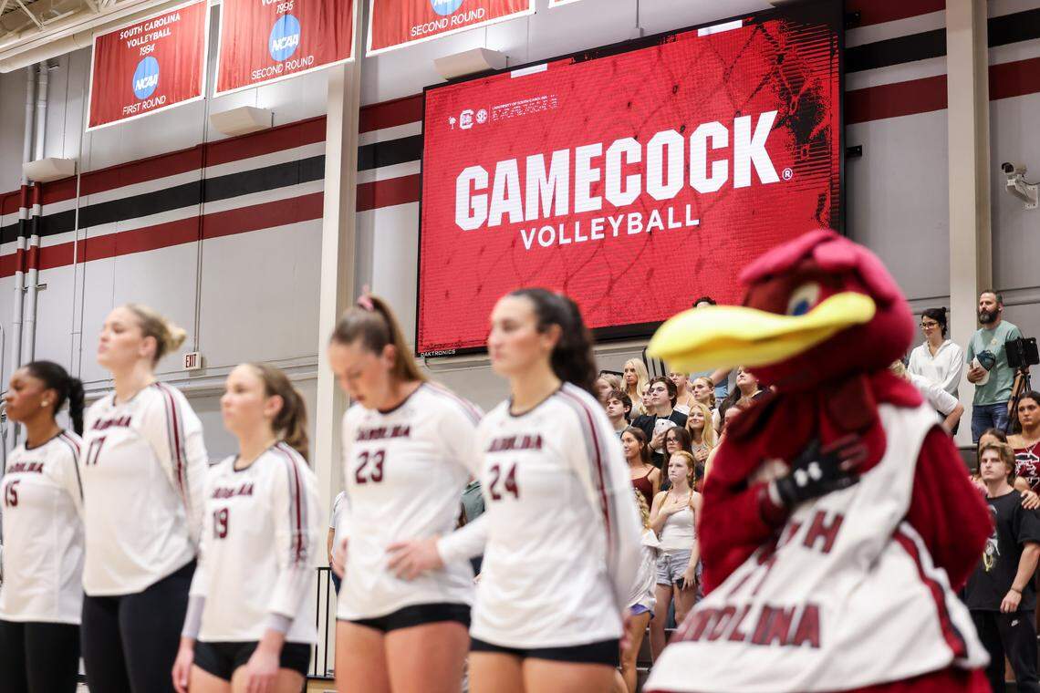 South Carolina players and Cocky take the court before the Gamecocks’ game against Texas A&M at the Carolina Volleyball Center in Columbia on Wednesday, October 1, 2025.