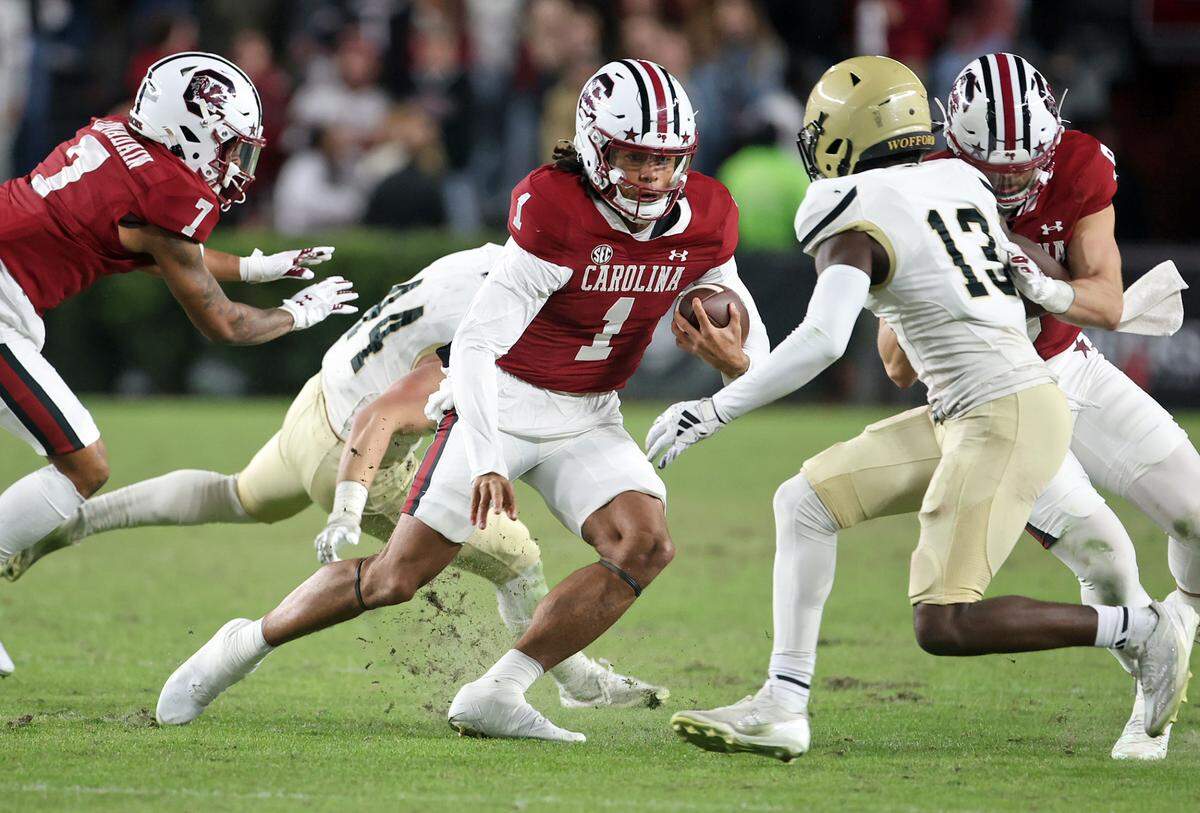South Carolina’s Robby Ashford during Saturday’s game against Wofford at Williams-Brice Stadium.