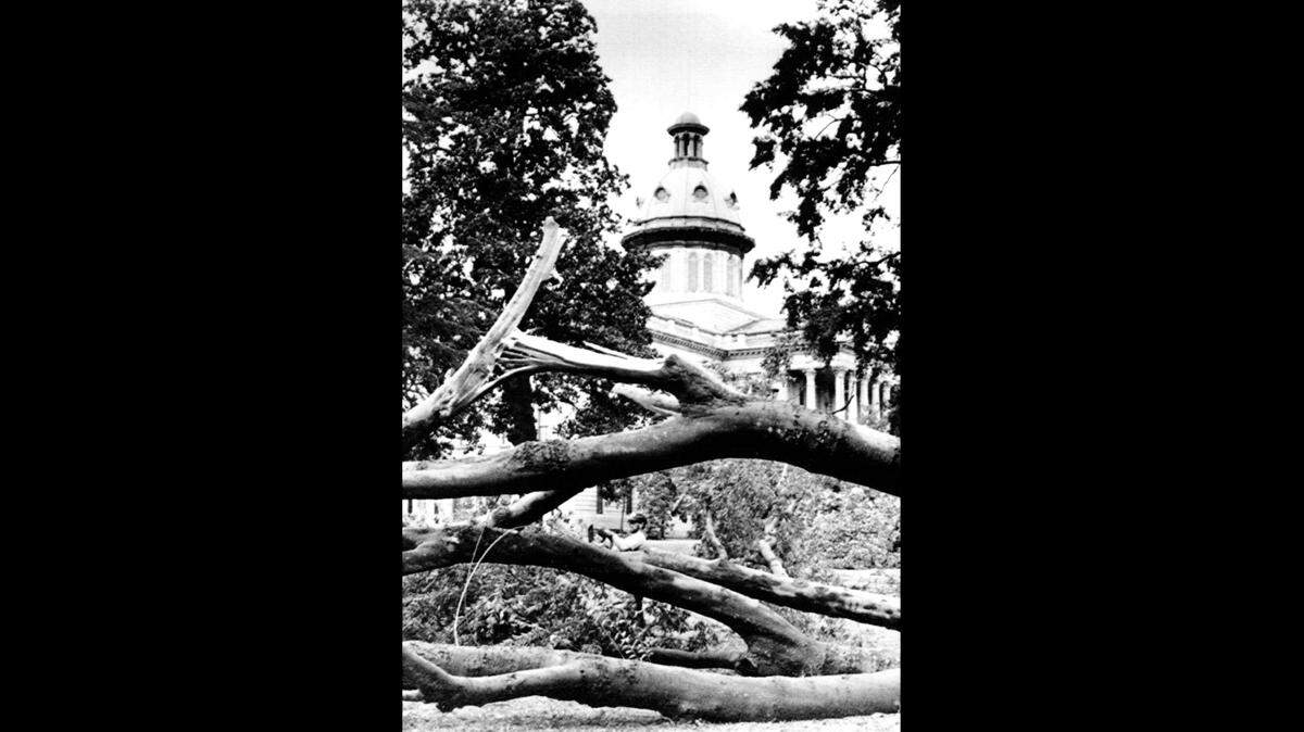 Trees down in front of the South Carolina State House after Hurricane Hugo swept through the state.
