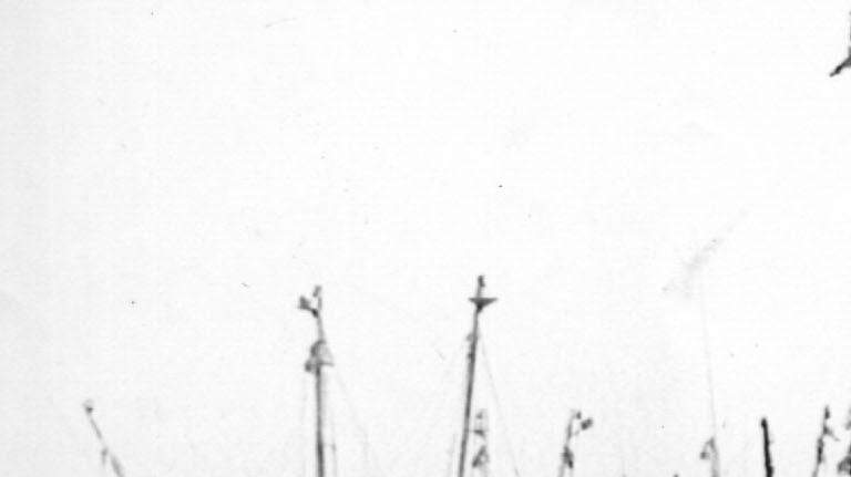 28 years later, remembering Hurricane Hugo's destruction of McClellanville