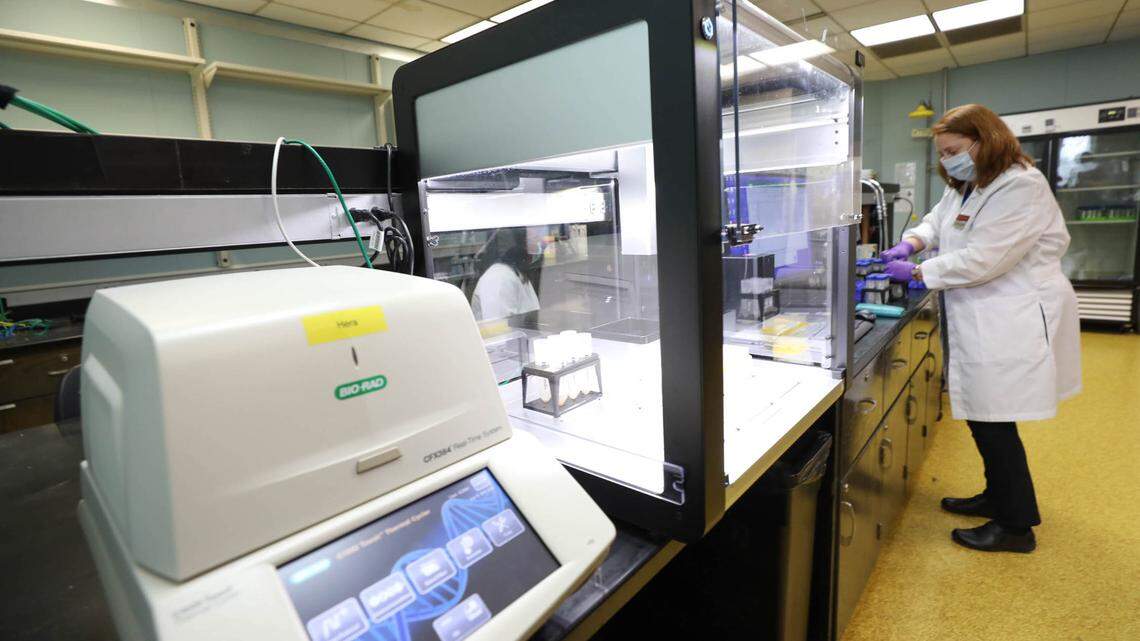 USC to export ‘game changer’ COVID-19 tests to Clemson and other SC colleges