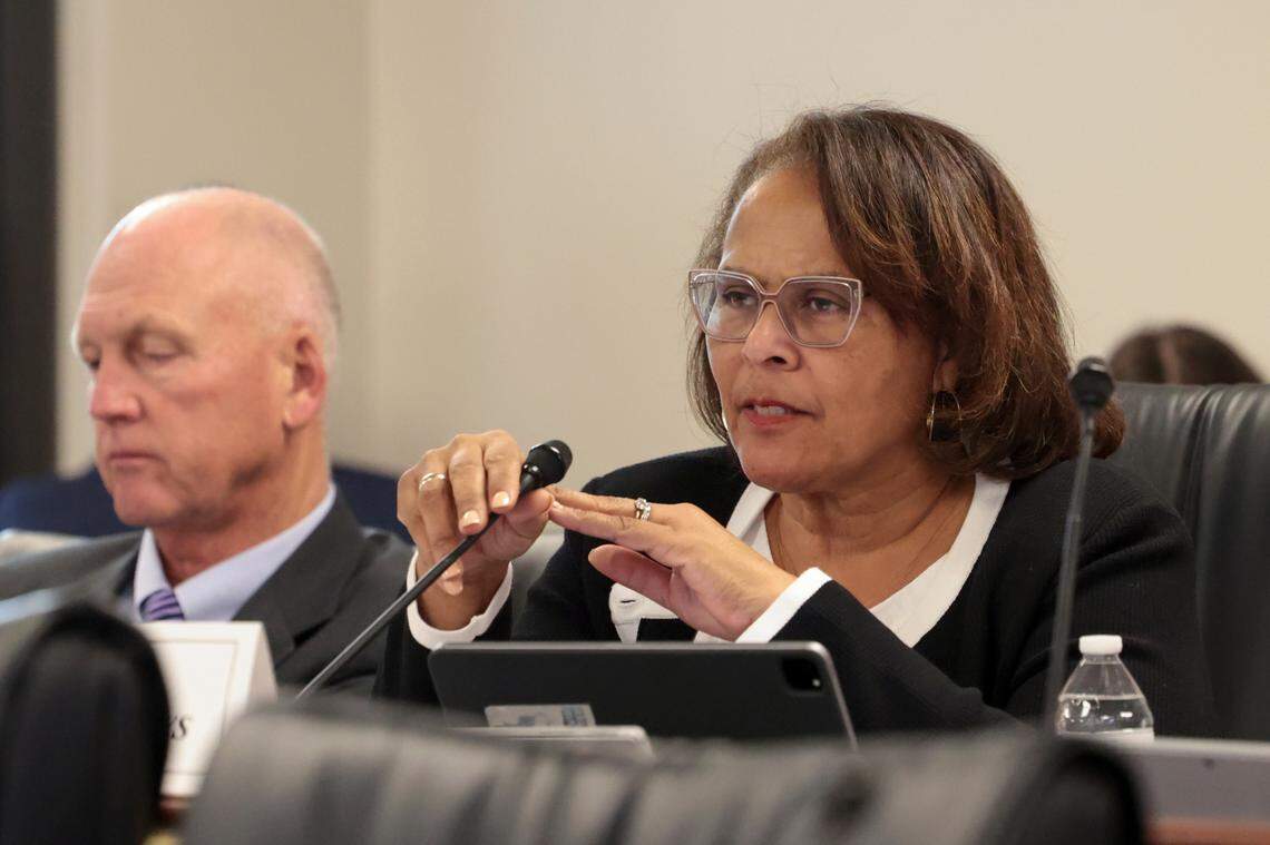State Sen. Margie Bright Matthews, D-Colleton, speaks during a Senate Finance subcommittee on Thursday, Feb. 27, 2025.