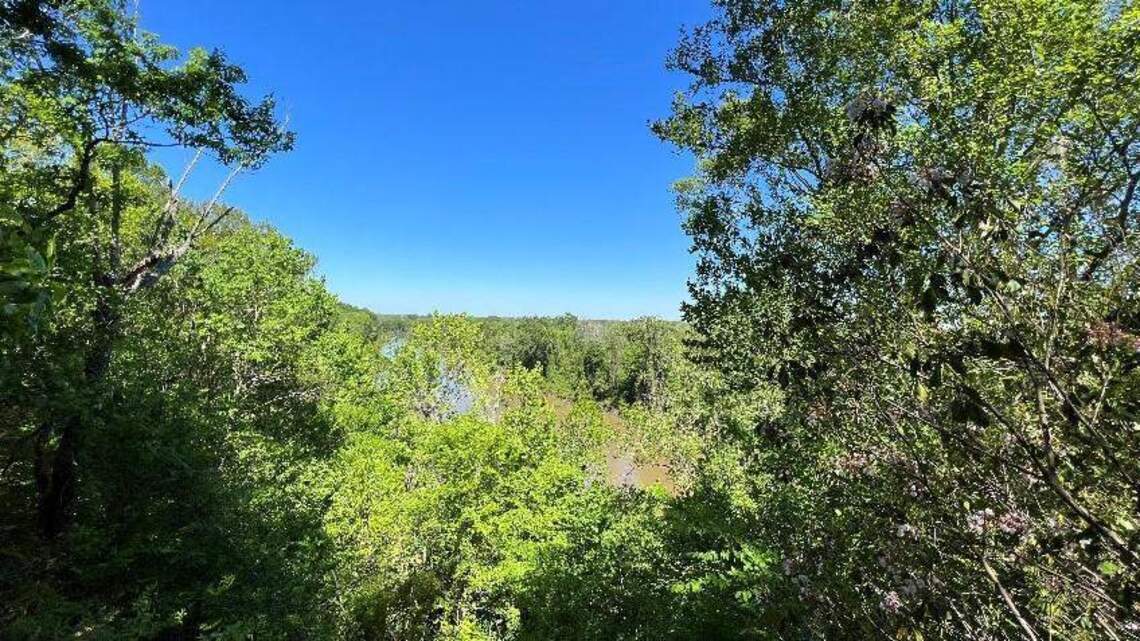 Mountainlike bluffs overlooking national park targeted for protection near Columbia