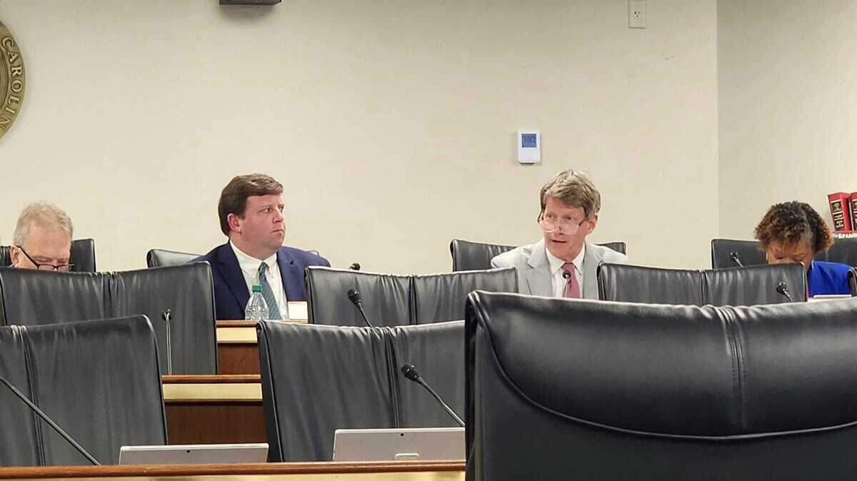 State Sen. Luke Rankin, R-Horry, discusses S. 909 during a Senate Judiciary Subcommittee meeting on Tuesday, April 16, 2024.