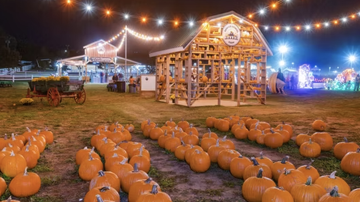 Denver Downs Far, in Anderson, SC, was voted No. 5 best pumpkin patch in the US by USA Today readers.