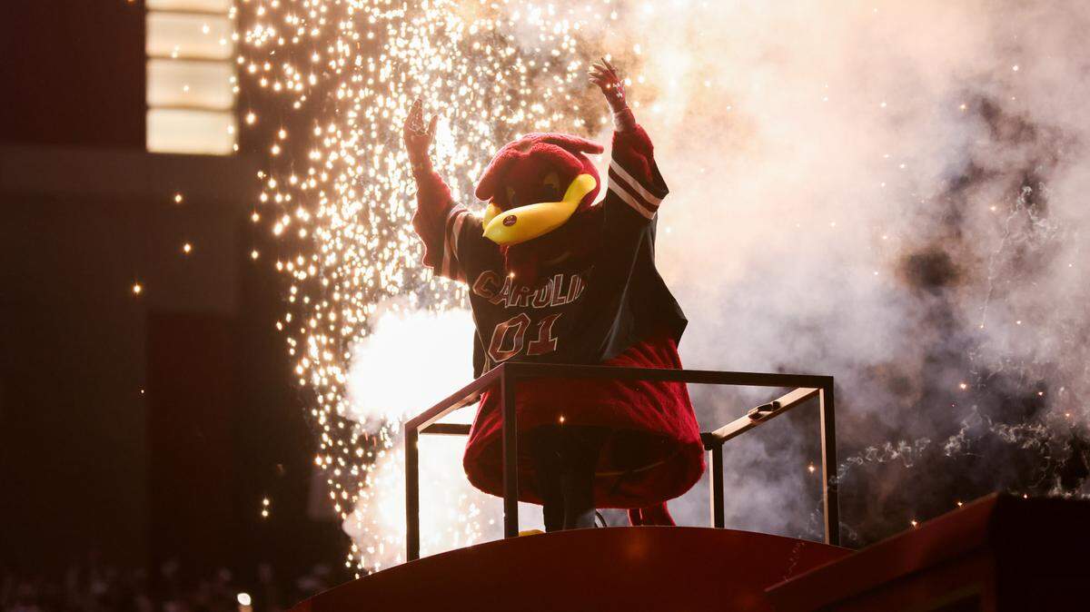 Cocky arrives before South Carolina’s game against Clemson at Williams-Brice Stadium in Columbia on Saturday, November 25, 2023.