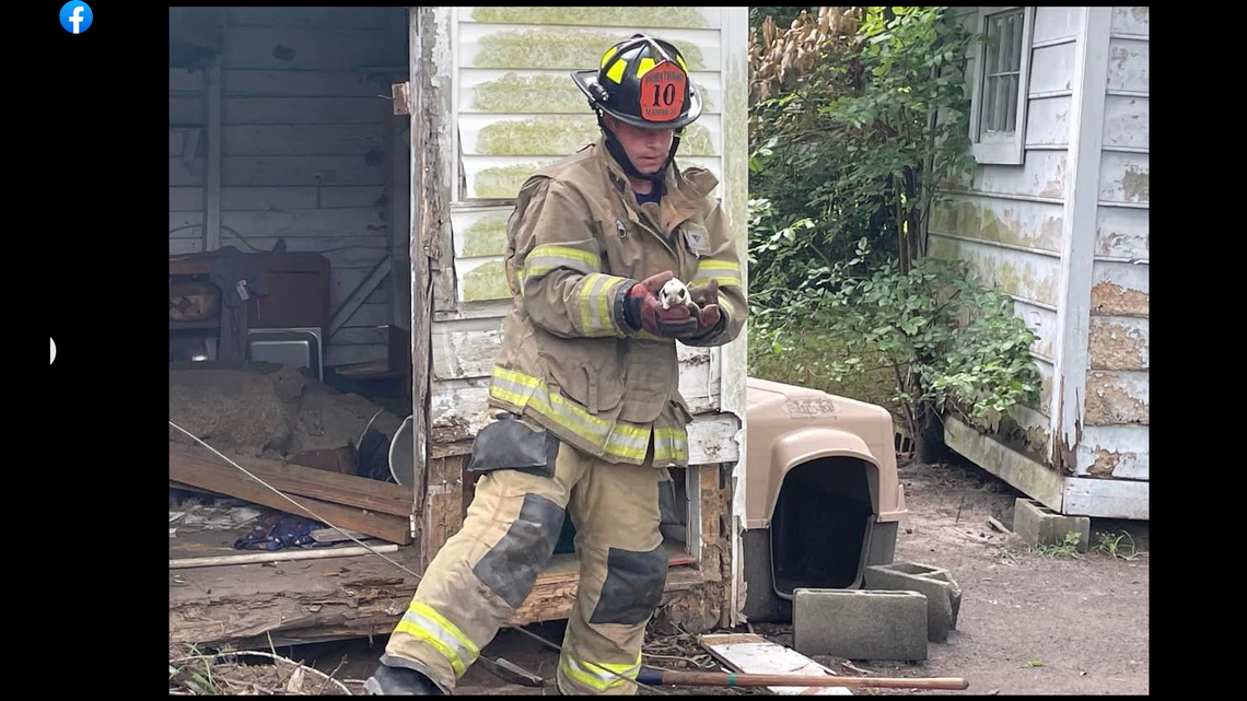 South Carolina crews saved three of four puppies found trapped underneath a building, officials said.