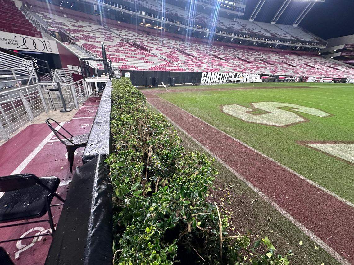 The hedges on the south side of Williams-Brice weren’t affected as bad as on the north side.