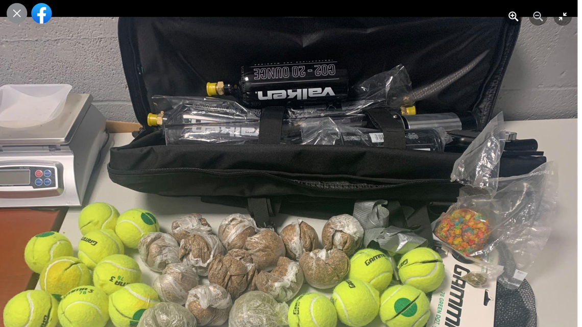 Drugs were found in tennis balls bound for a South Carolina prison, officials said.