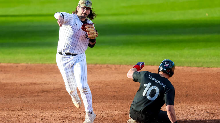 Photos: South Carolina vs. Air Force baseball