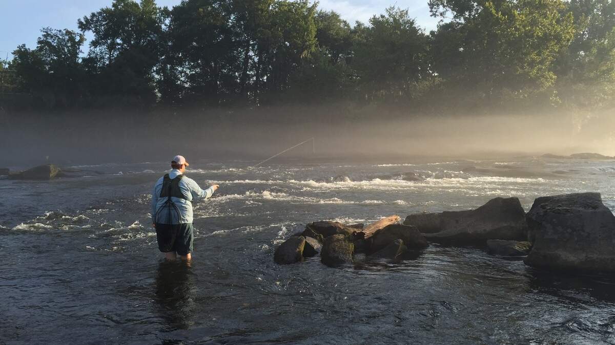 Trout are stocked in the lower Saluda River near Columbia annually. In this 2015 photo, an angler cast his line for trout along the Saluda.