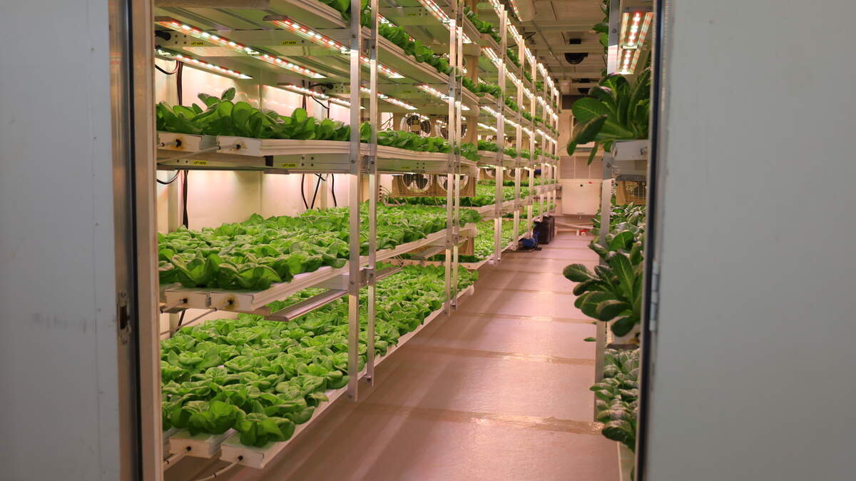 SC prison jumpstarts nation’s first vertical farming program | The State