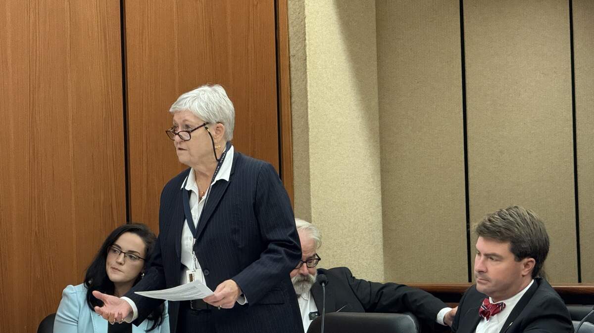 Elizabeth Crum, an attorney for the SC State Election Commission, makes a point to Judge Daniel Coble about voter privacy during a hearing on Friday, Sept. 26, 2025.