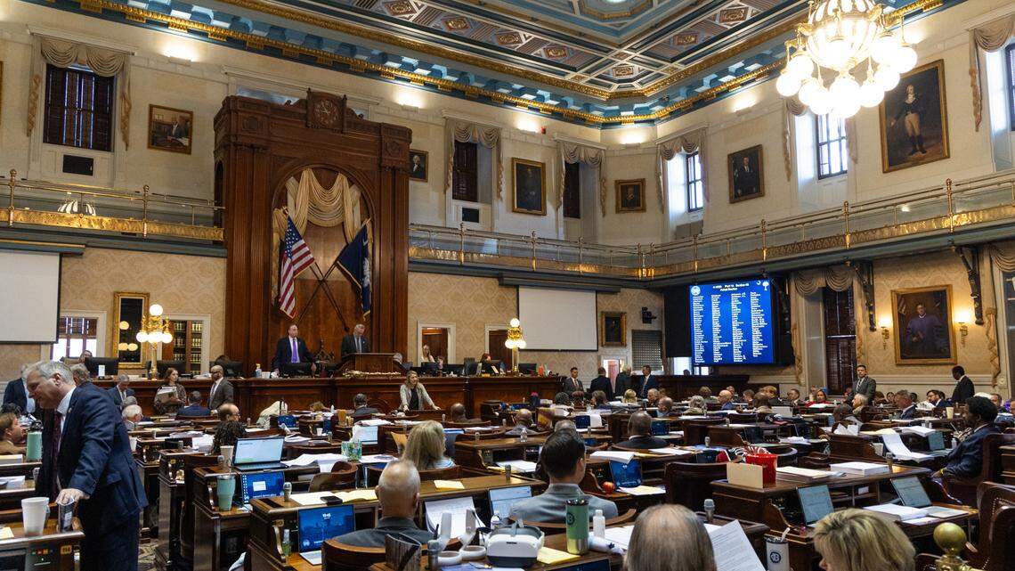 South Carolina house members debate amendments to the state budget on Tuesday, March 11, 2025.