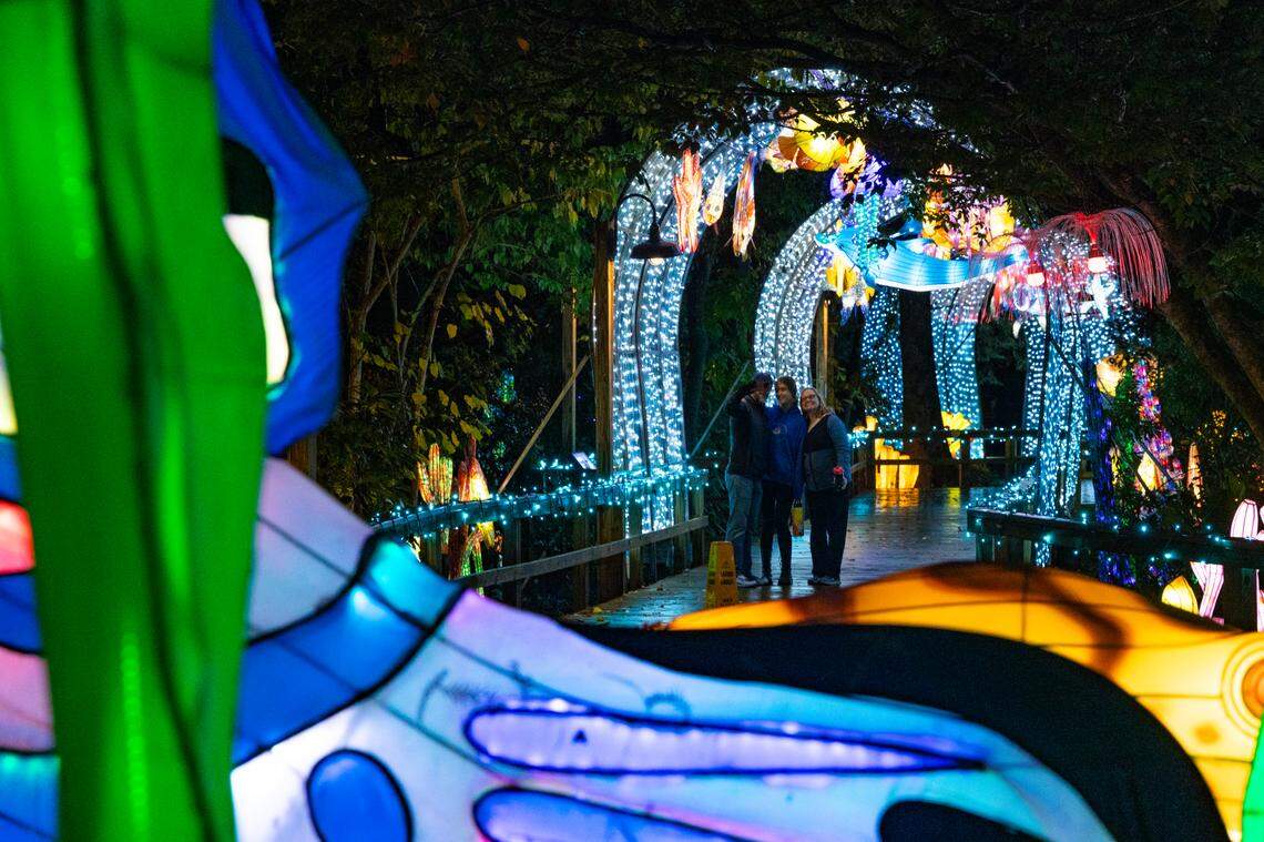 The Riverbanks Zoo and Garden shows a preview of Wild Lights on Thursday, November 14, 2024. The handmade lanterns in the shape of animals, real and fantasy, are on display until Jan. 12. 