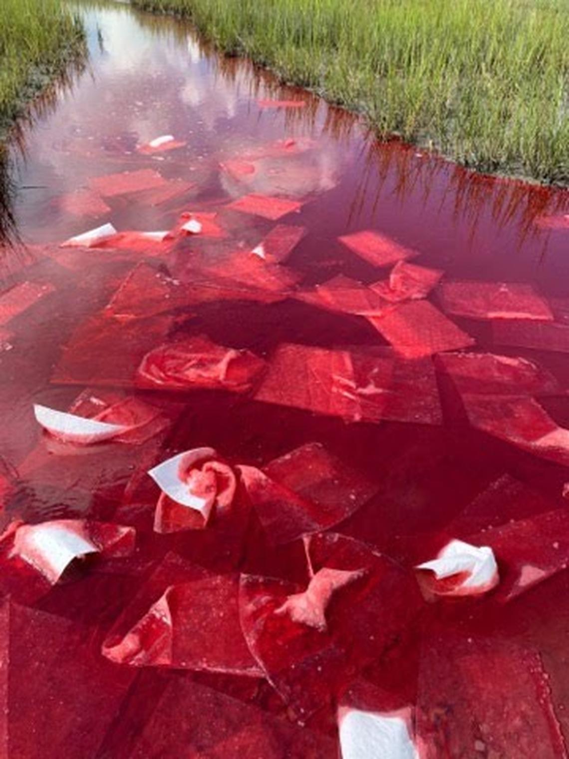 Thousands of gallons of diesel fuel from the Plum Island Wastewater Treatment Plant spilled in South Carolina waters.