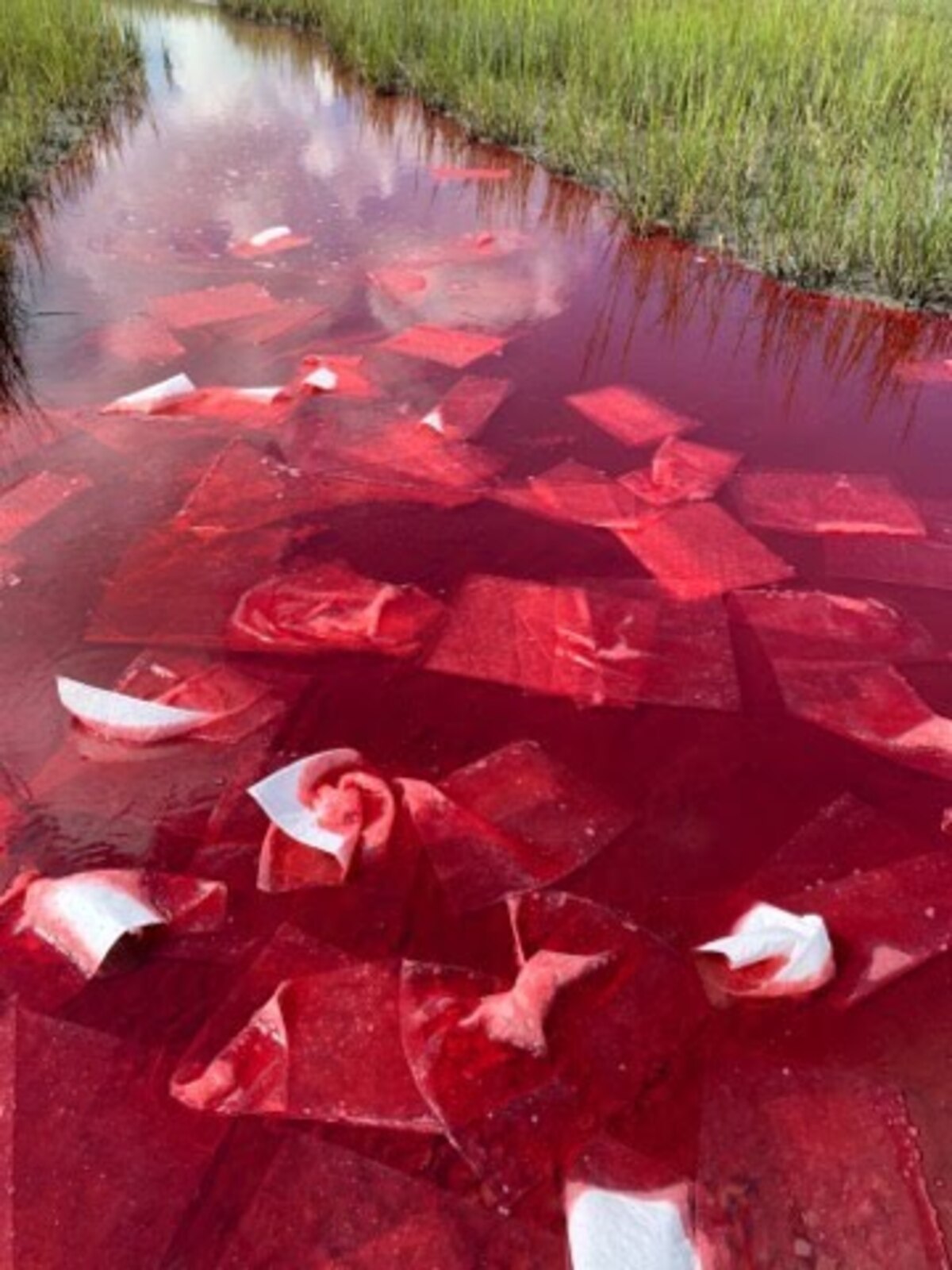 Thousands of gallons of diesel fuel from the Plum Island Wastewater Treatment Plant spilled in South Carolina waters.