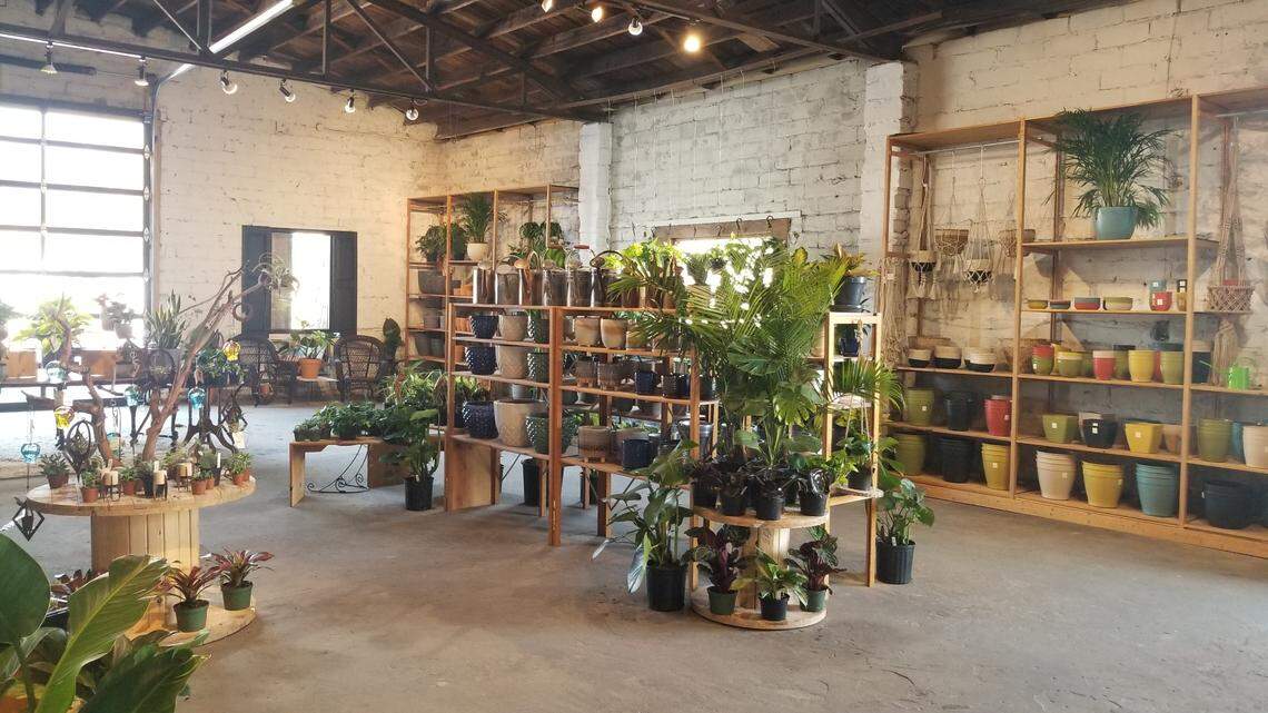 Gardener’s Outpost, long a popular shop on Woodrow Street in Columbia’s Shandon neighborhood, has now opened an additional location on Franklin Street, just off north Main Street.
