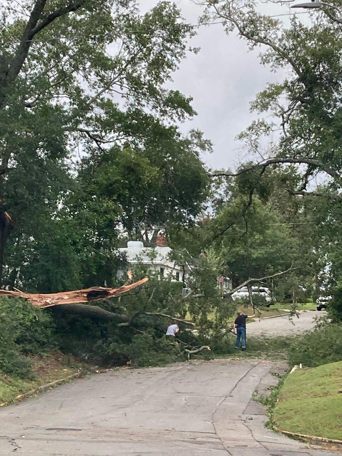 Part of Pickens Street was blocked by a big tree that fell Friday during Hurricane Helene. This was near the corner of Hollywood Drive. (Sept. 27, 2024)