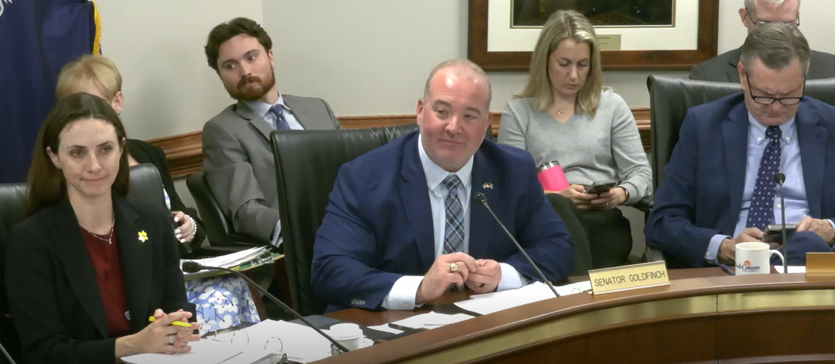 Sen. Stephen Goldfinch, R-Georgetown, speaks during a meeting about a coastal bill he is sponsoring. The Senate agriculture meeting was held April 8, 2025.