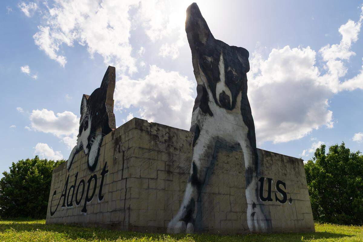 “Adopt Us” by Columbia artist Blue Sky on Thursday, April 3, 2025.