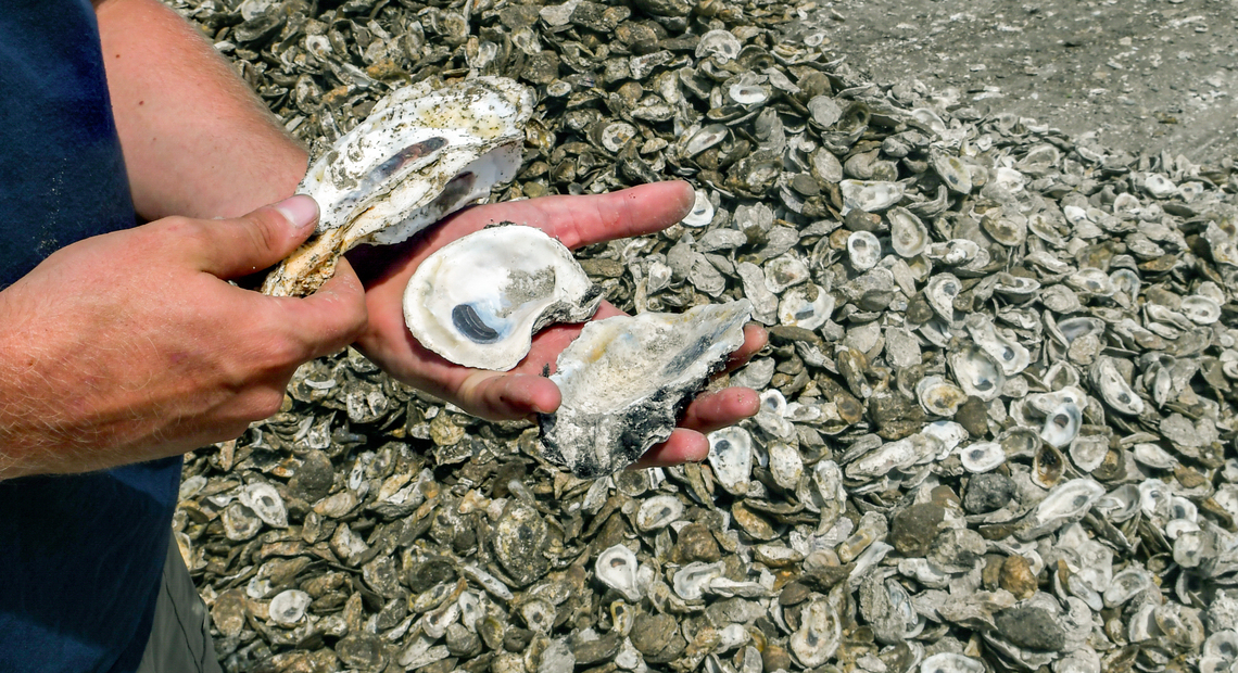 Need something to do this weekend? Beaufort’s annual Oyster Festival has you covered