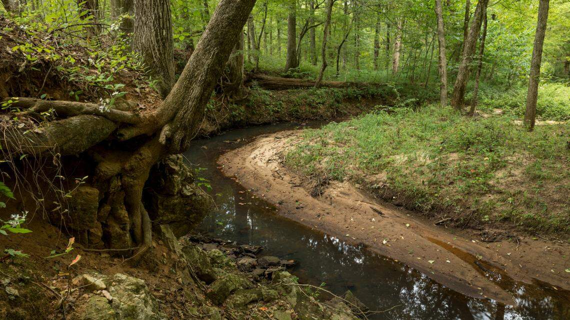 This section of stream in southern Laurens County is being protected for public use under a deal to preserve more than 1,800 acres.