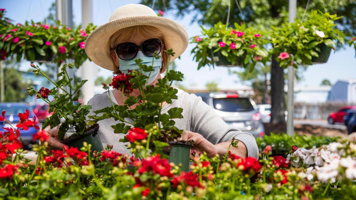 Want a quarantine garden? These local Columbia stores have plant pickup and delivery