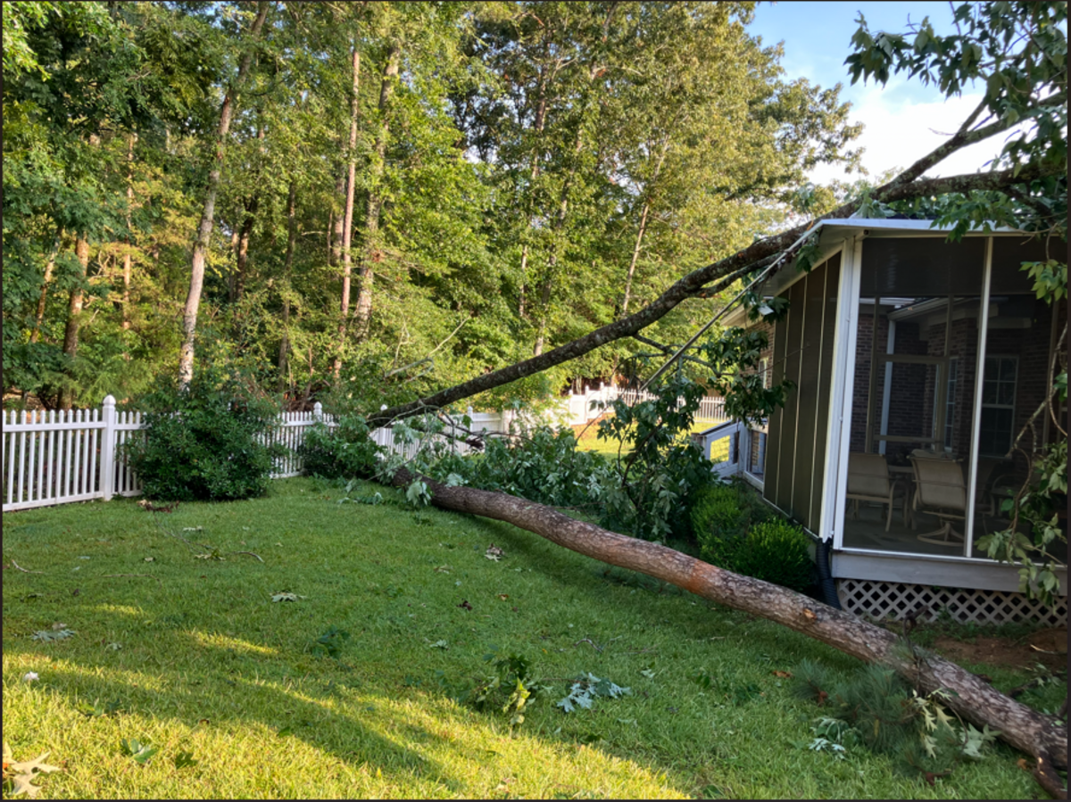 A tree that fell over a fence onto Linda Shanabrook’s house in the Night Harbor neighborhood near Lake Murray.