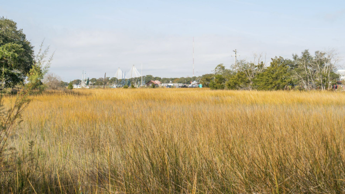 These are the 11 best cities to live in SC in 2026, US News & World Report says. Here’s why