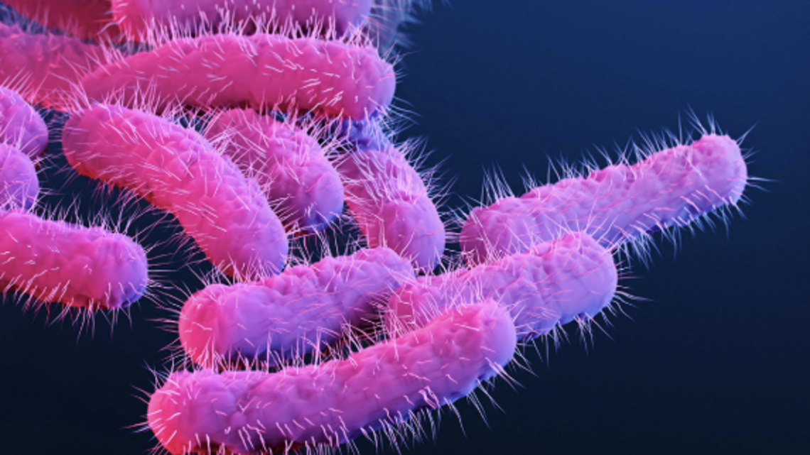 Sexually transmitted, drug-resistant disease reported in SC. Latest case counts