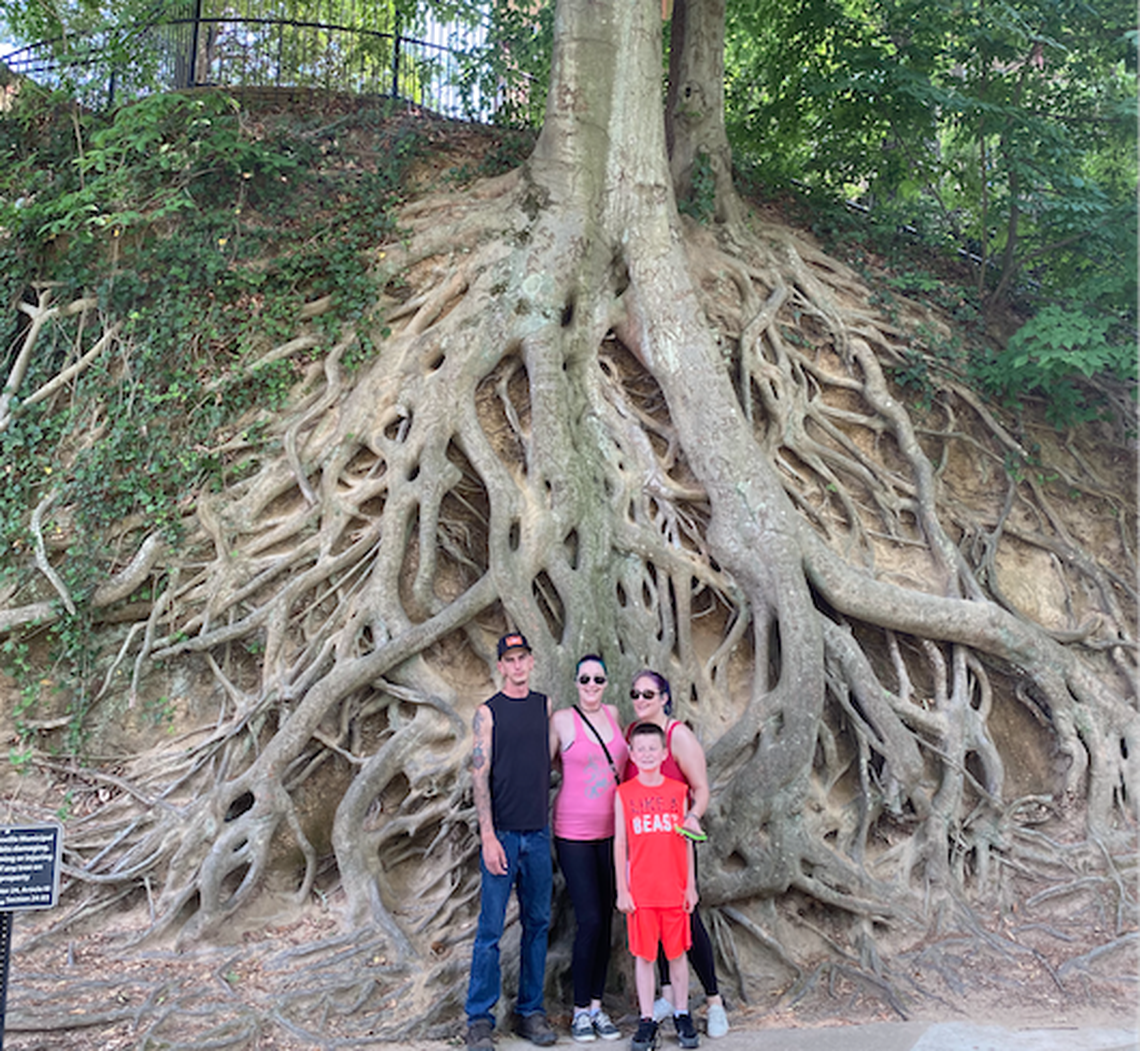 Austin Haraburda, Amanda Gentieu, Jenni Marshall and Dillon Haraburda (in front) visited Greenville’s favorite tree Thursday, May 27.