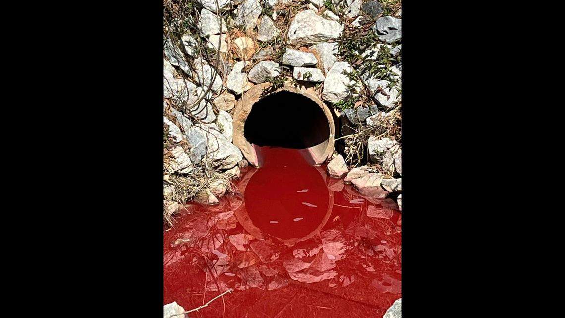 A report of a mysterious “unknown liquid” filling a ditch in Upstate South Carolina got even stranger when investigators found something akin to a blood creek.