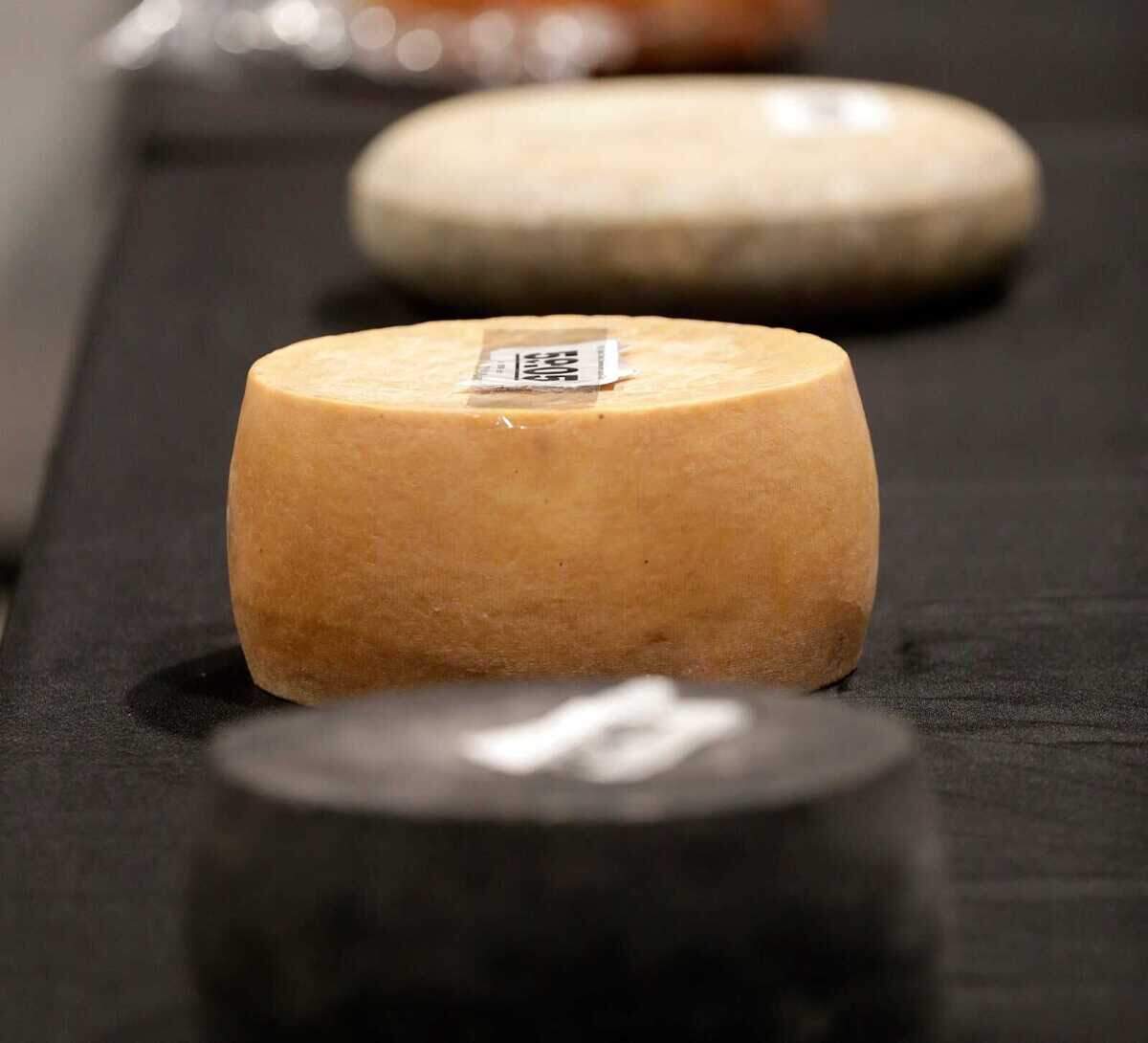 Cheeses await judging during the first day of the U.S. Championship Cheese Contest on March 4, 2025, at the Resch Expo in Ashwaubenon, Wis.
