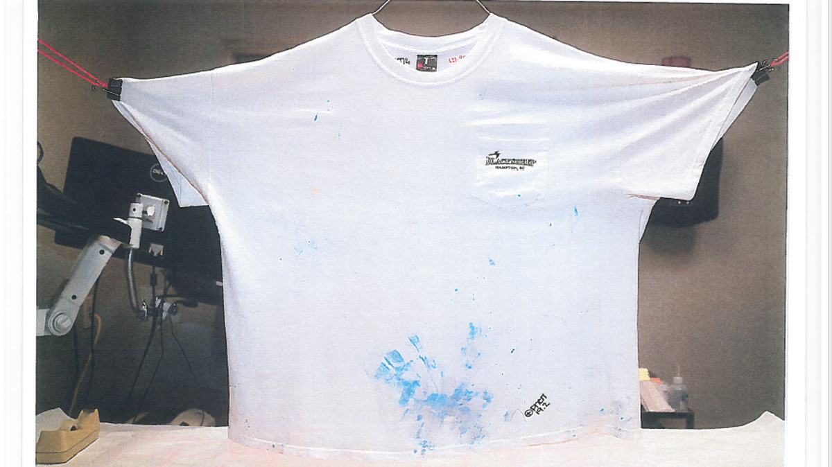 SC judge grants Alex Murdaugh’s attorney request for blood spatter evidence