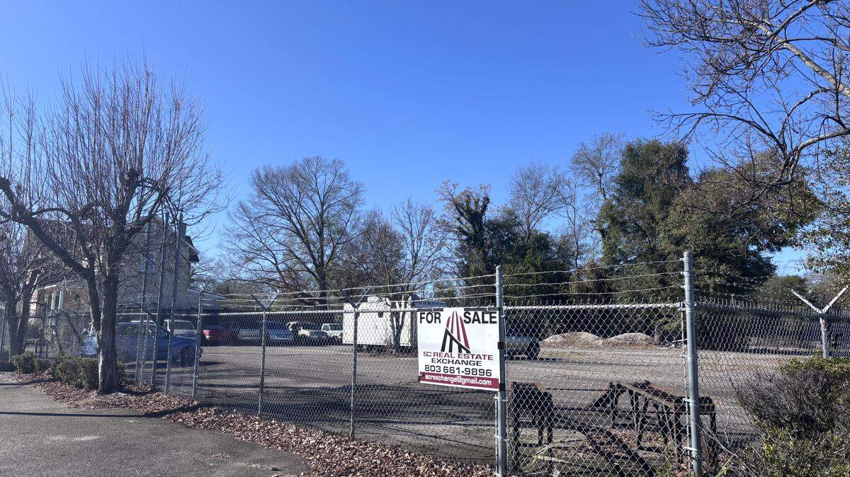 Developer Adam Bergeson has pitched building a bar, dog park and food truck court at a used car lot near North Main Street.