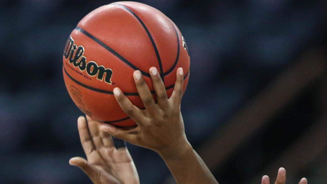 South Carolina basketball