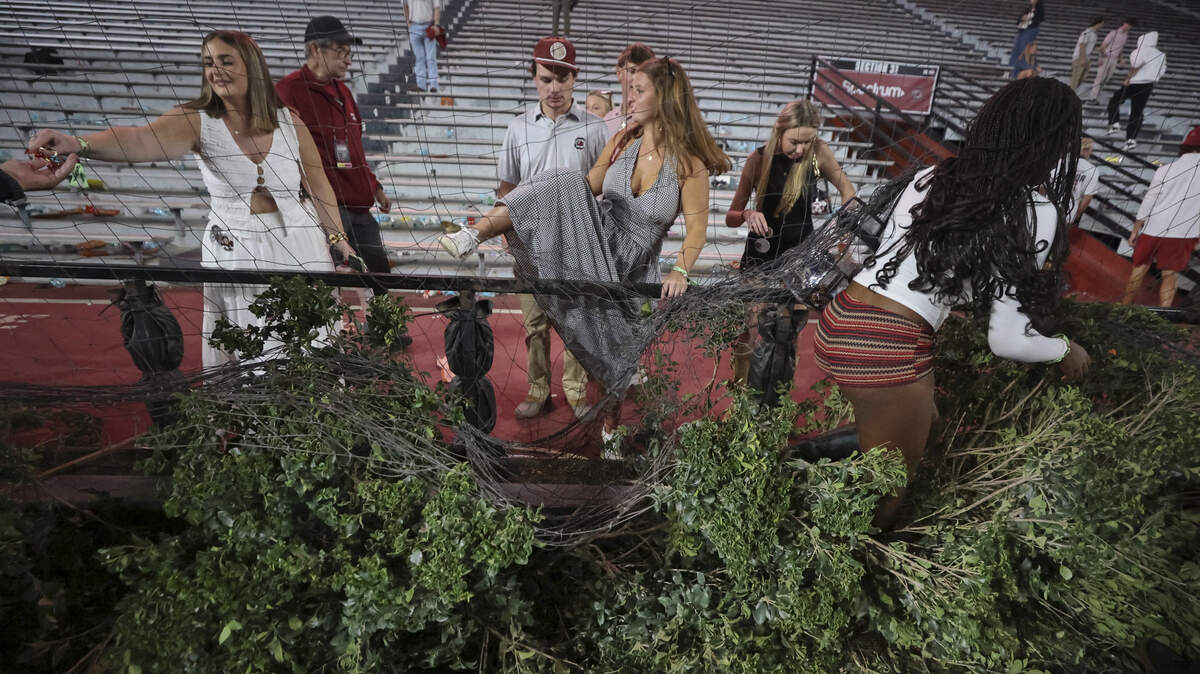 USC’s hedges ‘took a beating’ during Gamecocks’ field-storming. Can they return?