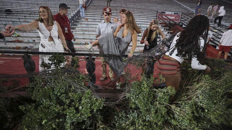 USC’s hedges ‘took a beating’ during Gamecocks’ field-storming. Can they return?