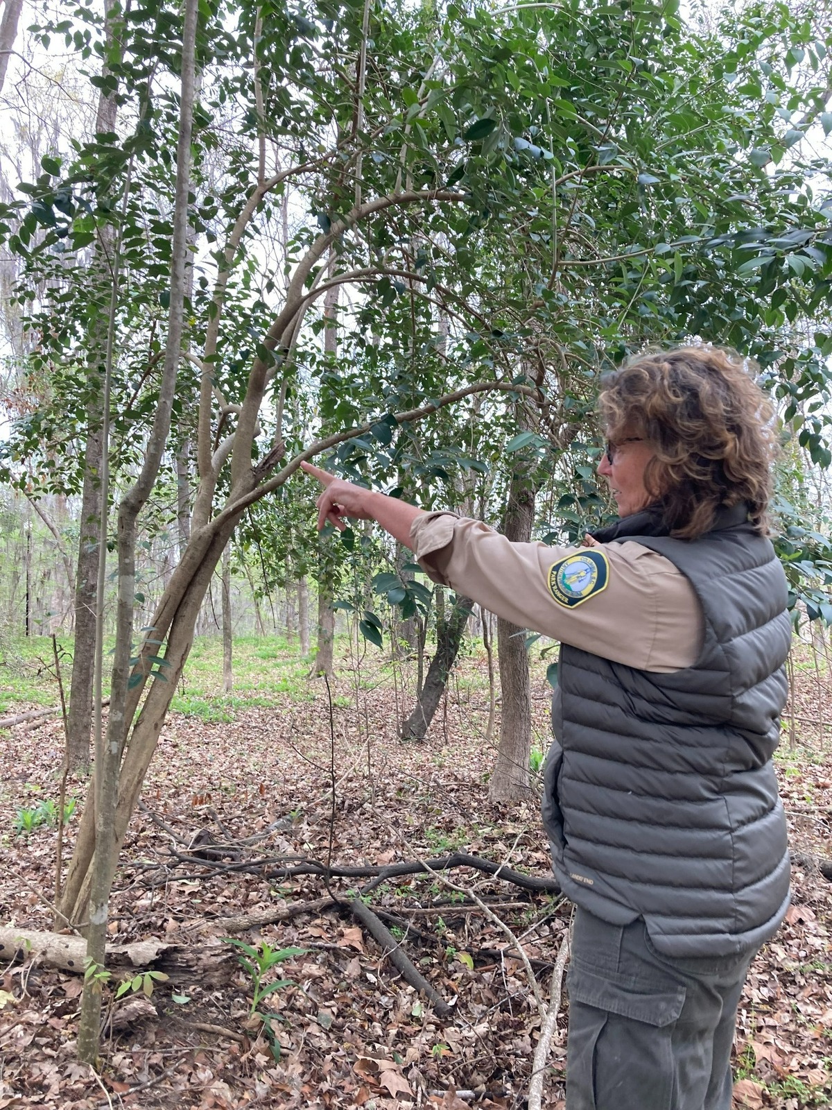 Columbia Park Ranger Karen Kustafik points at the many plants found on Boyd Island, a city park at the confluence of the Saluda and Broad rivers.