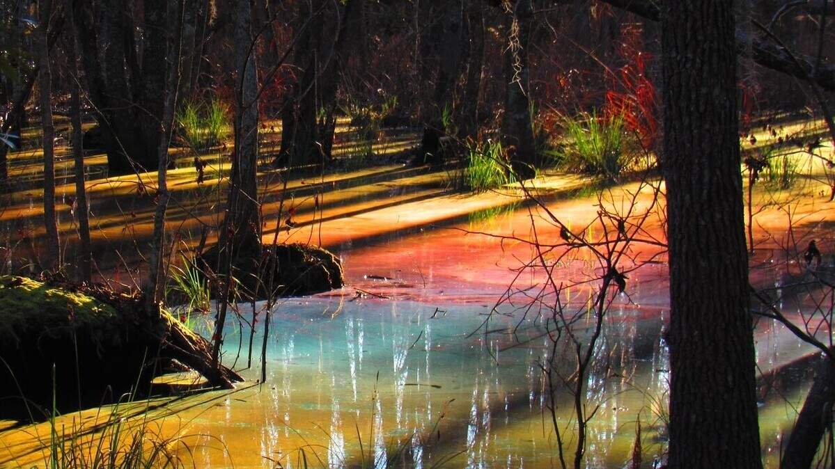 This “rainbow pool” at Congaree National Park, South Carolina, is caused by natural decay, according to park officials. Congaree National Park posted the photo to Facebook on Monday, March 23, 2020. (National Park Service)