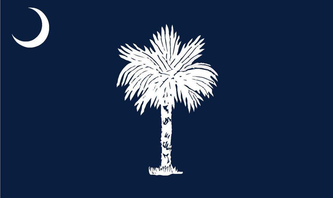 The first of two flag designs pitched to lawmakers by the South Carolina Flag Study Committee.