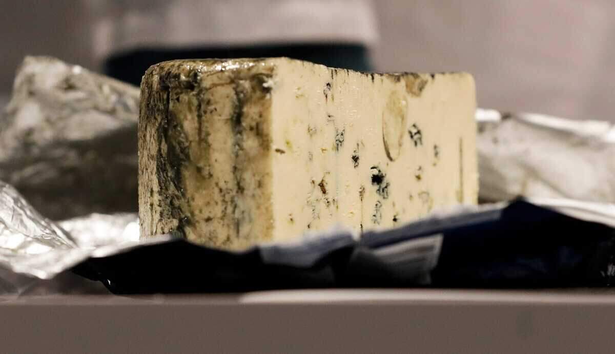 A blue-veined cheese is judged during the first day of the U.S. Championship Cheese Contest on March 4, 2025, at the Resch Expo in Ashwaubenon, Wis.
