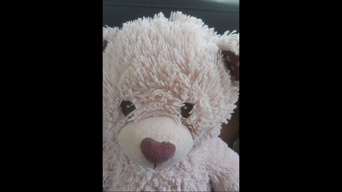 Beary was mistakenly sent to a Goodwill in Greenville. Have you seen her? 10-year-old Ari would so love to get her back.