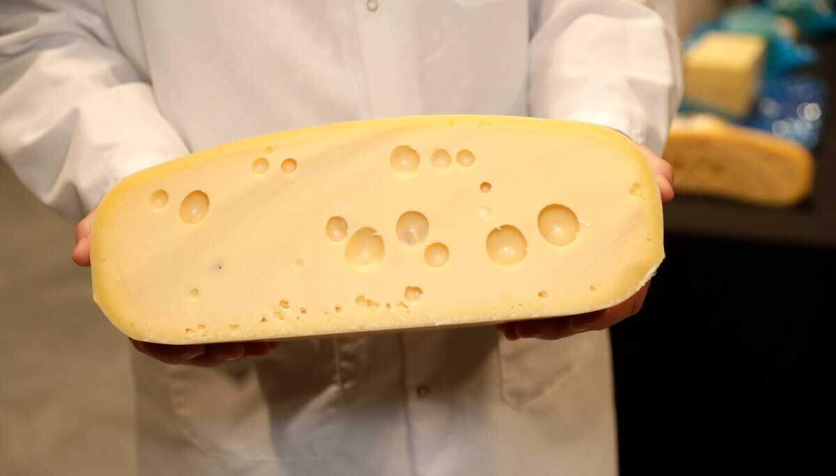 A judge holds up a swiss cheese entry during the first day of judging at the U.S. Championship Cheese Contest on March 4, 2025, at the Resch Expo in Ashwaubenon, Wis.