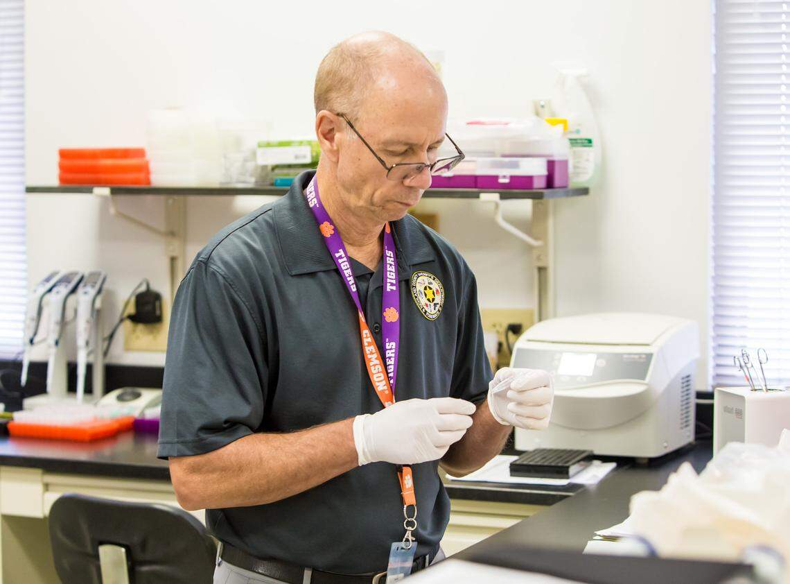 DNA analyst John Barron examines a DNA sample from a sexual assault case at the Richland County Sheriff’s Department DNA Lab.