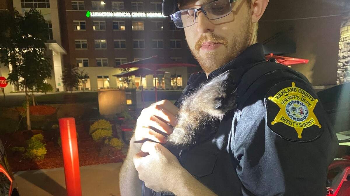 Deputies from the Richland County Sheriff’s Department were on patrol when they rescued a kitten from the middle of the road.
