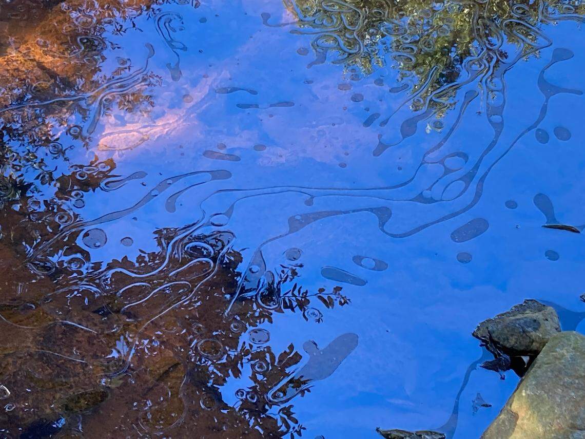 An oily sheen covers the surface of a creek that runs through Columbia’s Memorial Park on Dec. 3, 2021. A diesel spill discolored the creek.