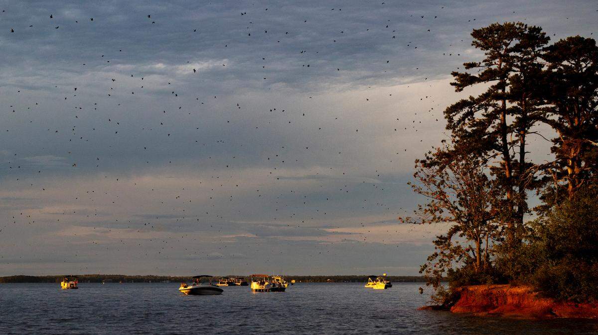 WWII pilots on a mission to bomb Japan practiced over Lake Murray. This is the story of Bomb Island