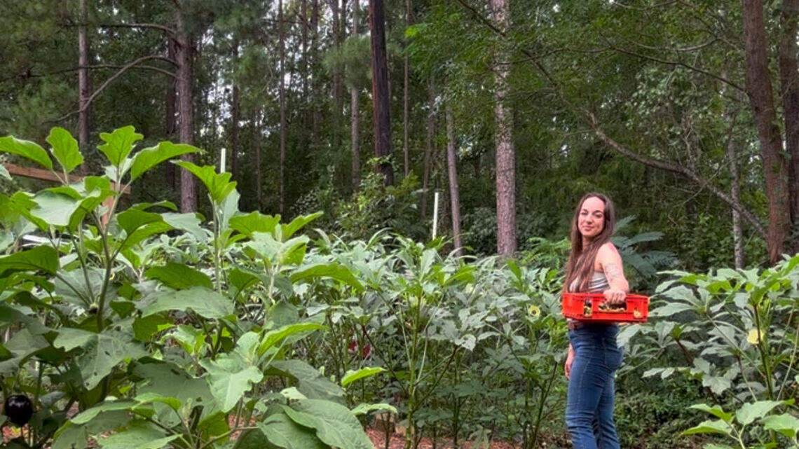 SC farmer cancels sales to restaurants after mattress factory fire spews ash on crops
